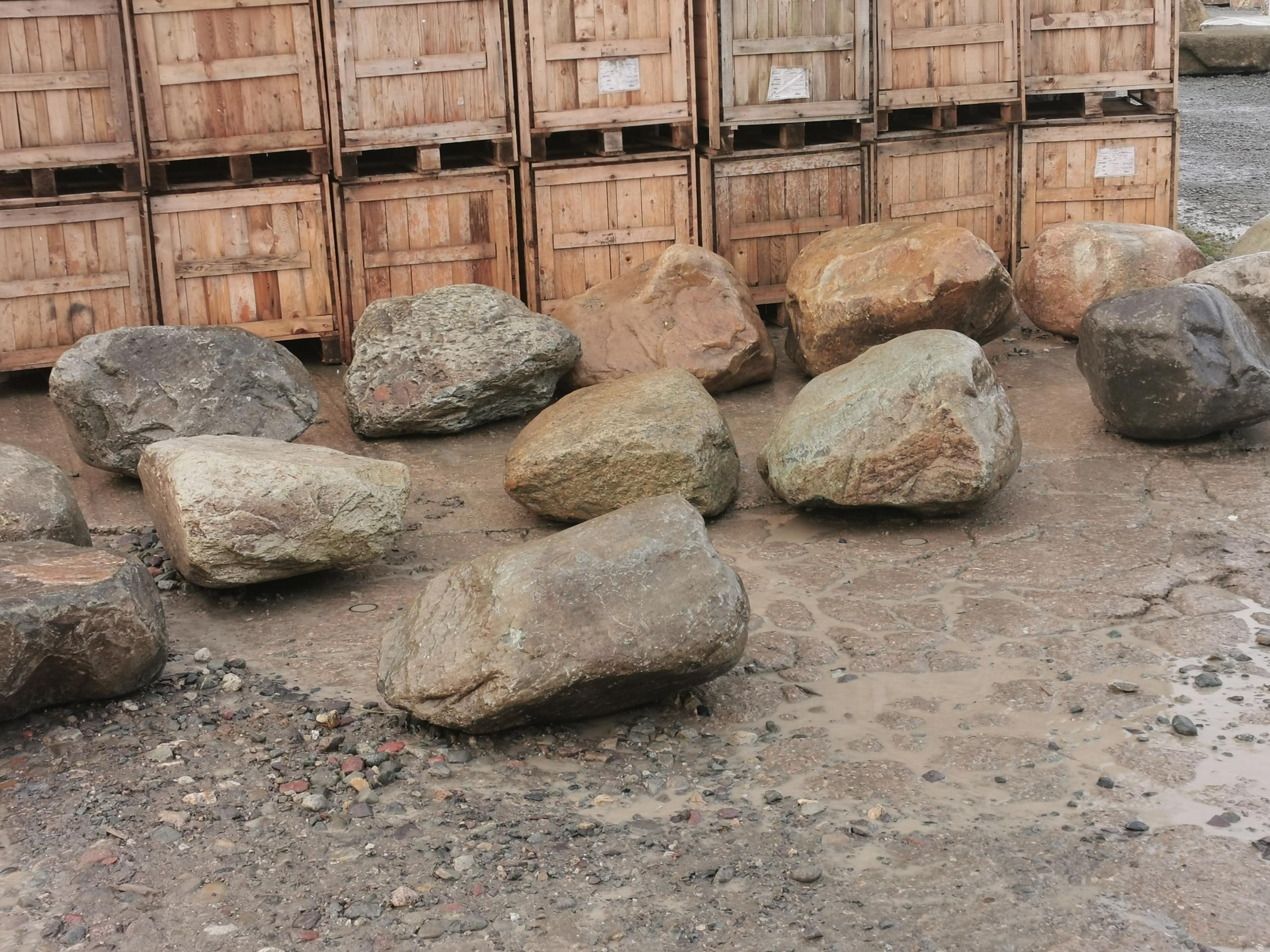 Glacial Specimen Boulders
