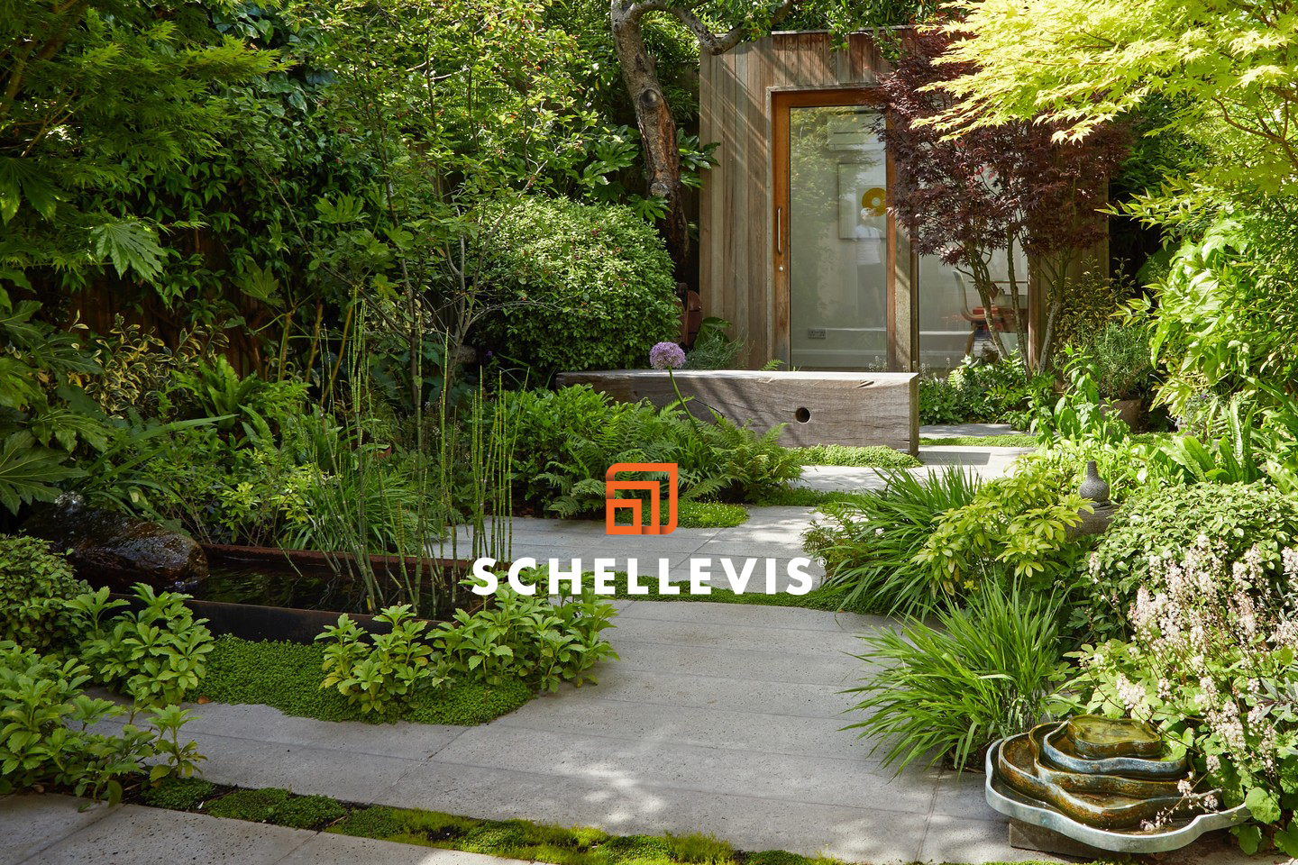 Schellevis