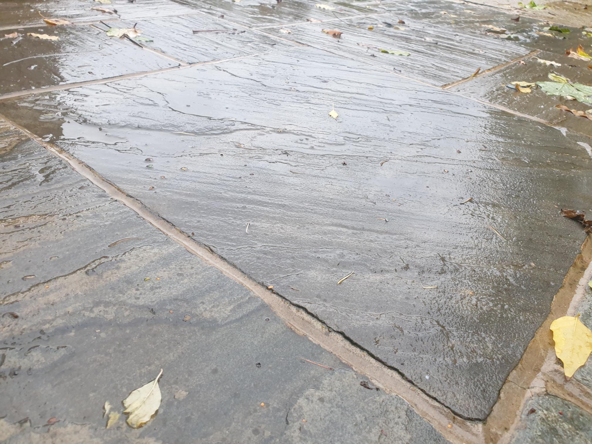 Premium Black Sandstone 600g