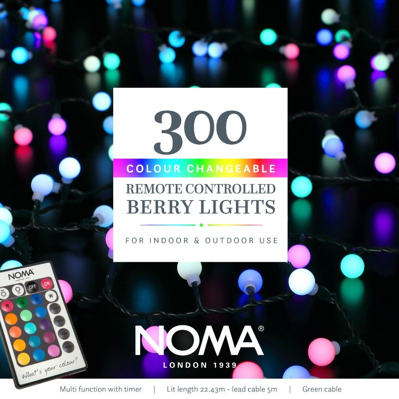 300 Colour Changeable Remote Controlled Berry Lights