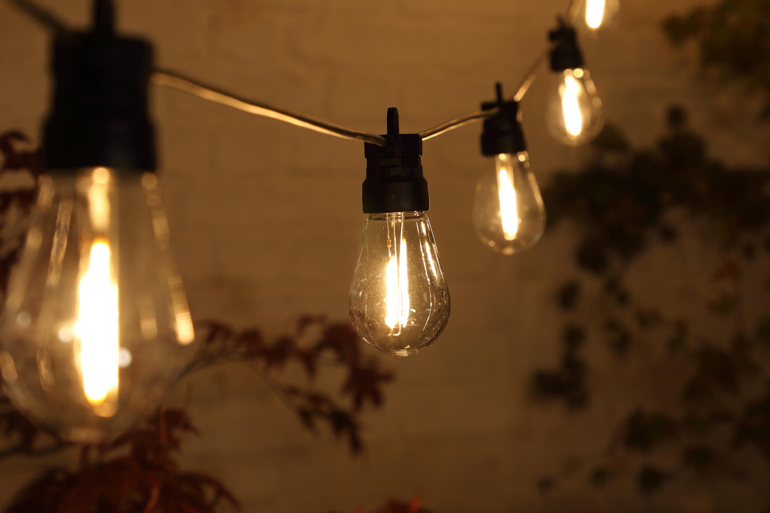 Small Edison Lights - 20