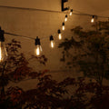 Small Edison Lights - 20