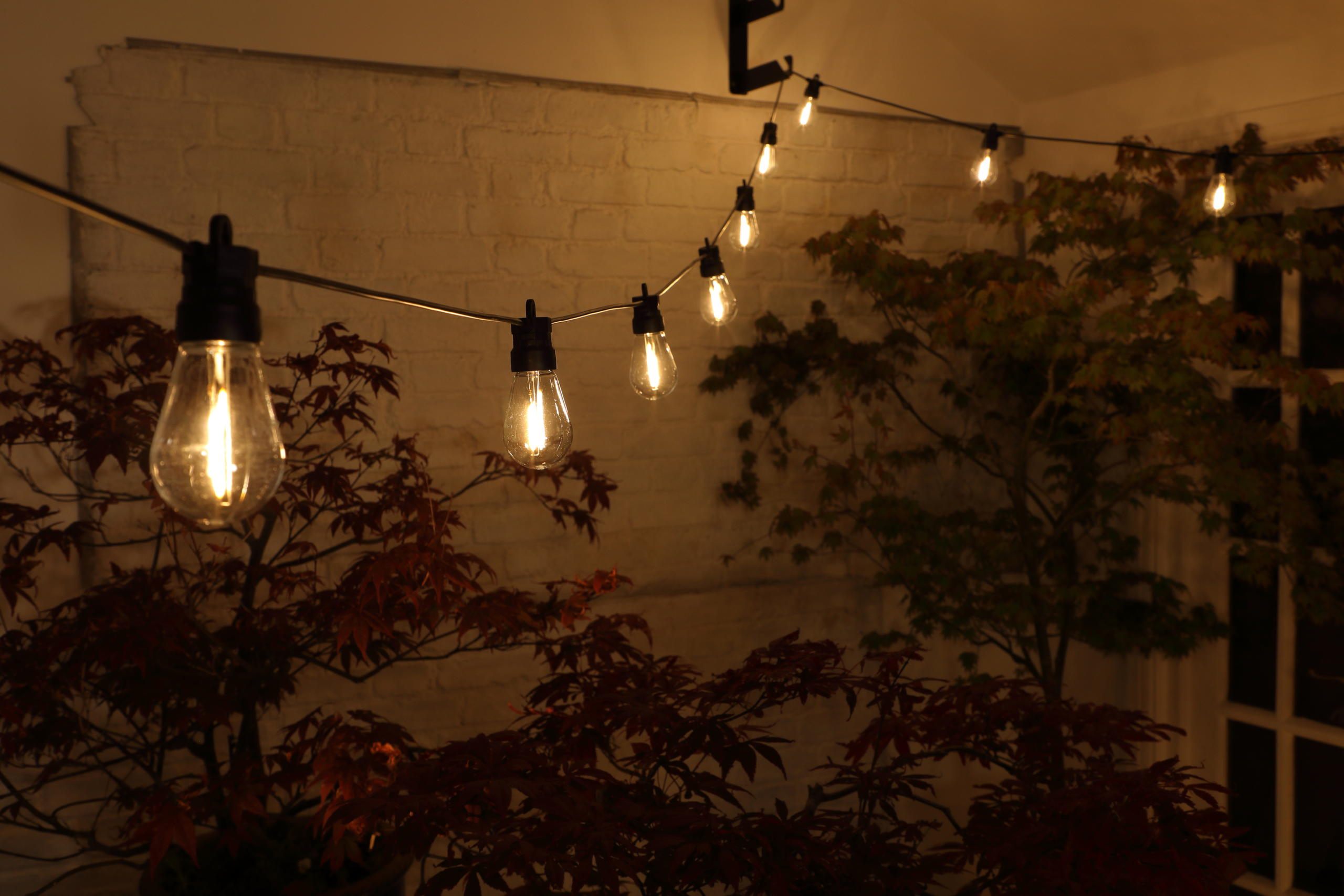 Small Edison Lights - 20
