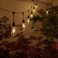 Large Edison Hanging Lights - 20