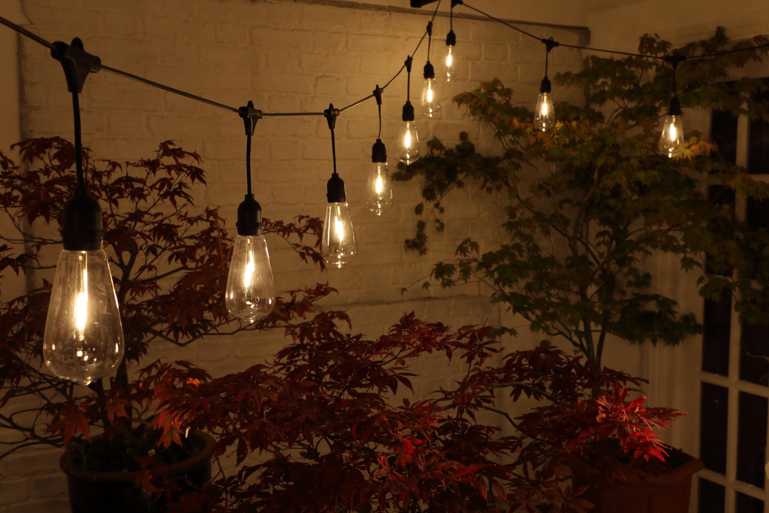 Large Edison Hanging Lights - 20