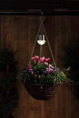 Set of 2 Hanging Basket Lights