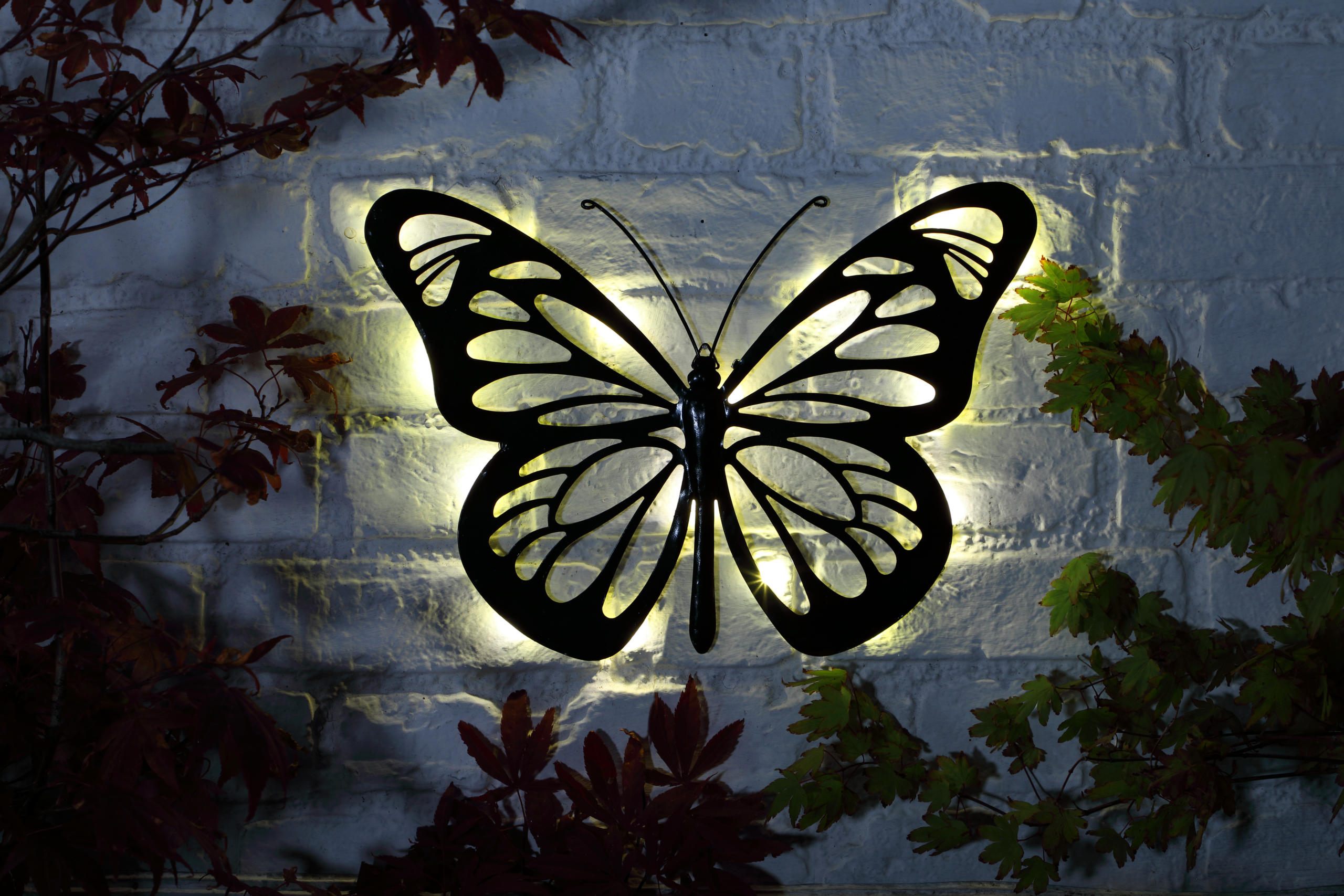 LED Butterfly Wall Plaque