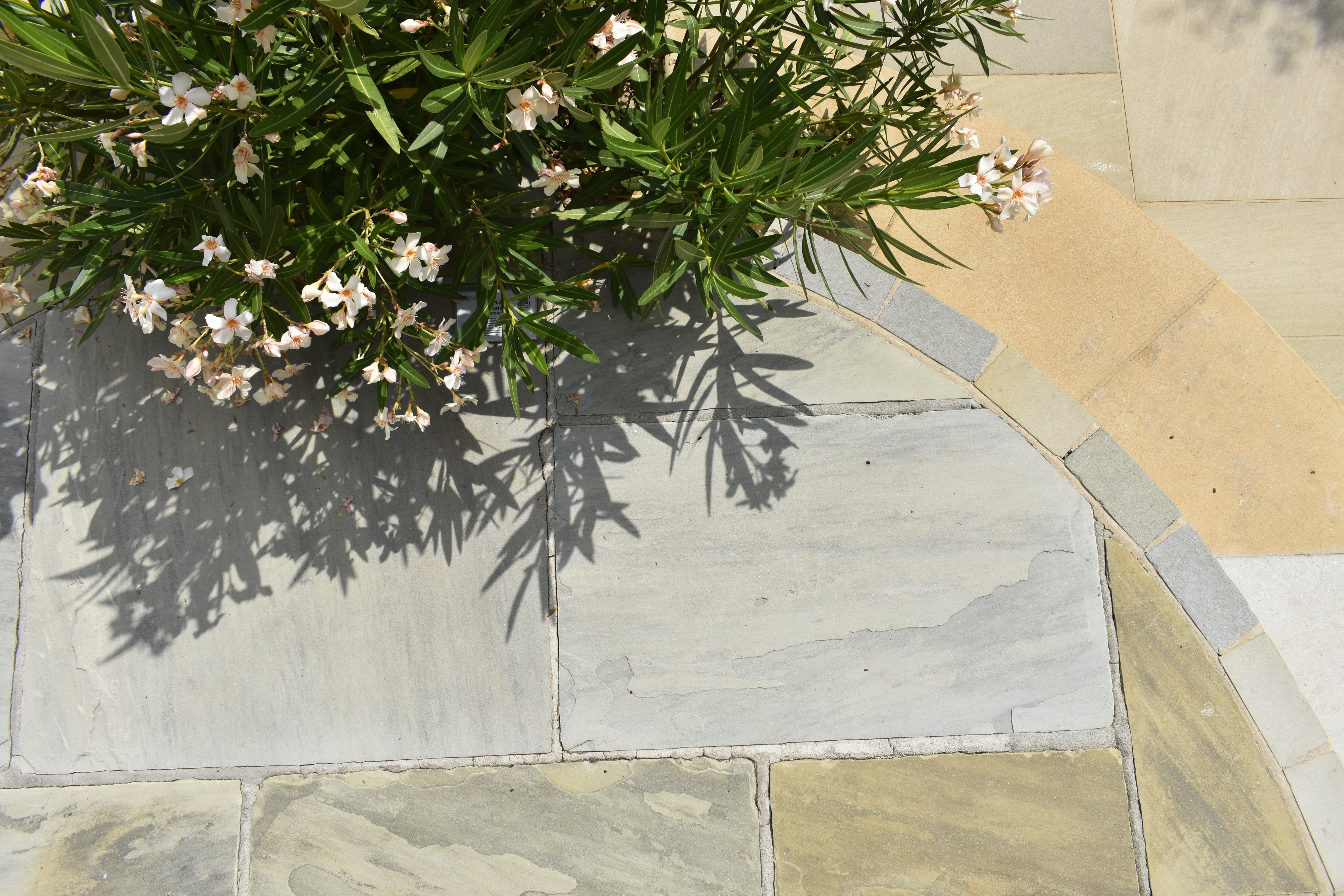 New Deeplane Yorkstone