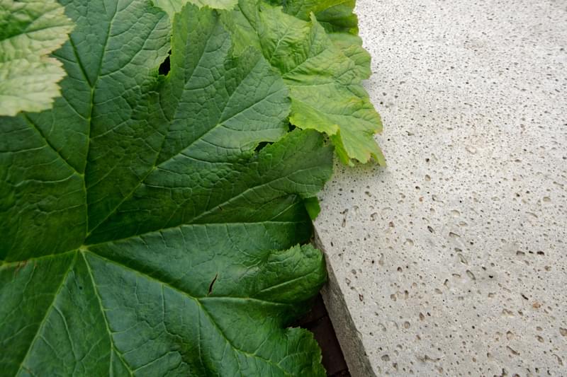 Schellevis Large Format Paving Slabs - Creme