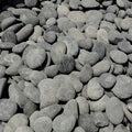 Indonesian Black Flat