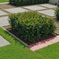 SCHELLEVIS CURBS – Red Brown