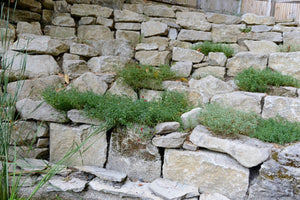 Yorkstone Rockery Application Photo