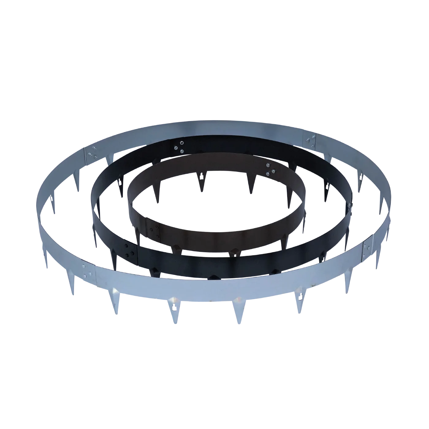 Core Tree Ring