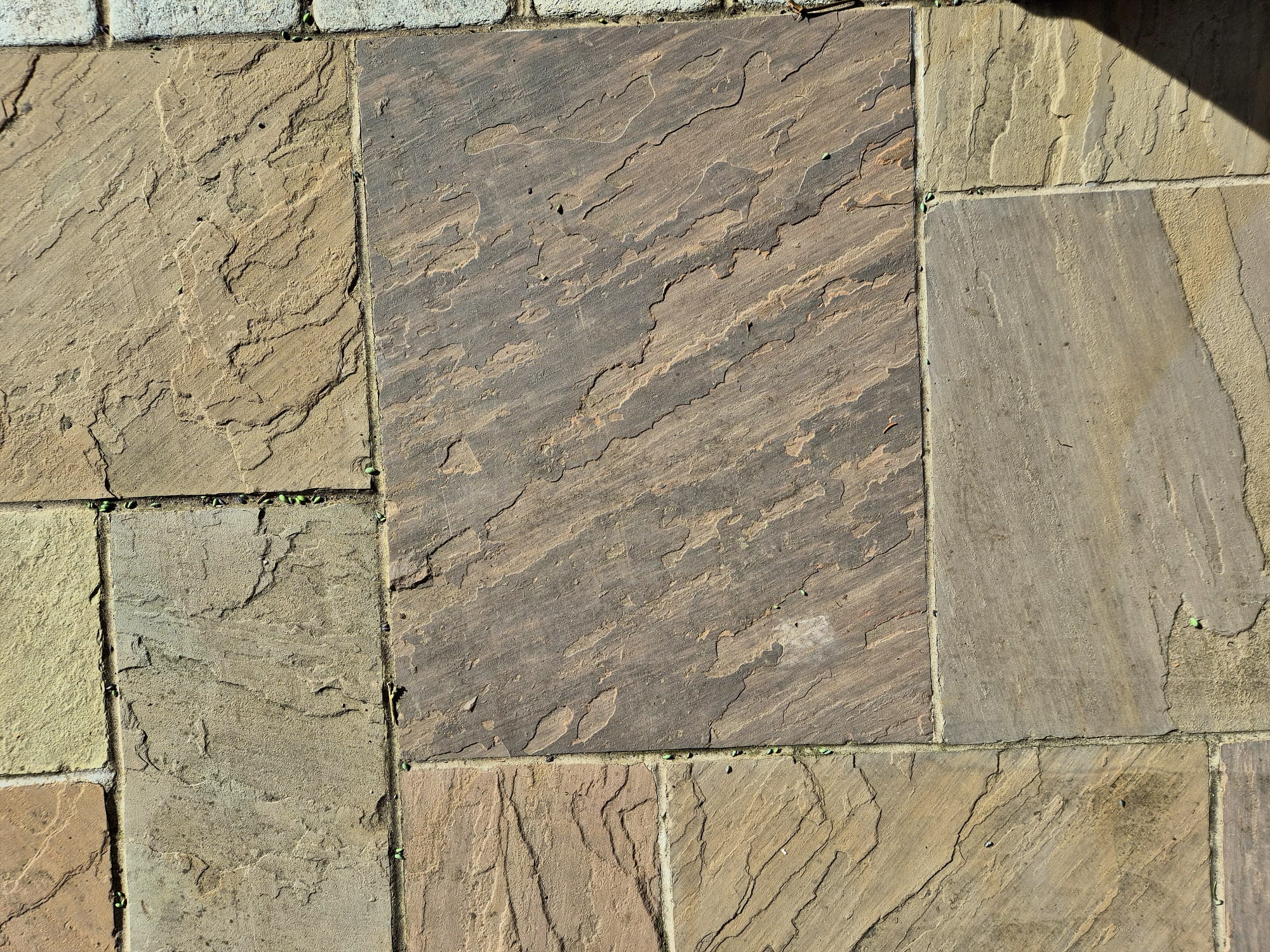 Premium Brown Sandstone