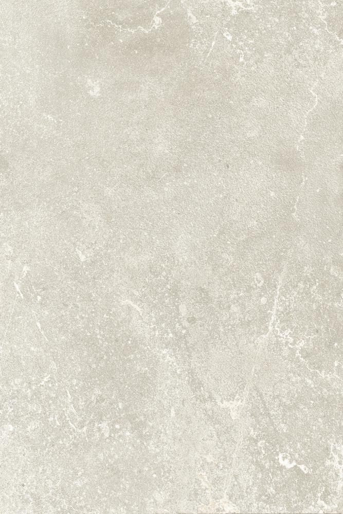 Dolonia Chiaro