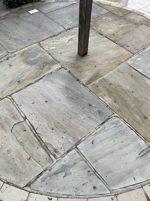 New Deeplane Yorkstone
