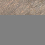 Premium Brown Sandstone