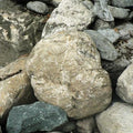 Glacial Boulders