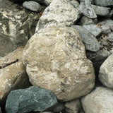 Glacial Boulders