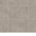 Landscape Grey Coping 900 x 300