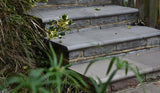 Sandstone Pool Copings